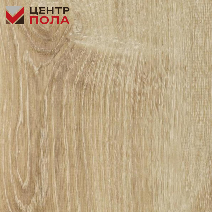 Ламинат Alsafloor Solid Plus 621 Canaries oak
